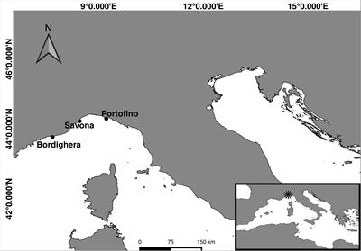 Local Conditions Influence the Prokaryotic Communities Associated With the Mesophotic Black Coral Antipathella subpinnata